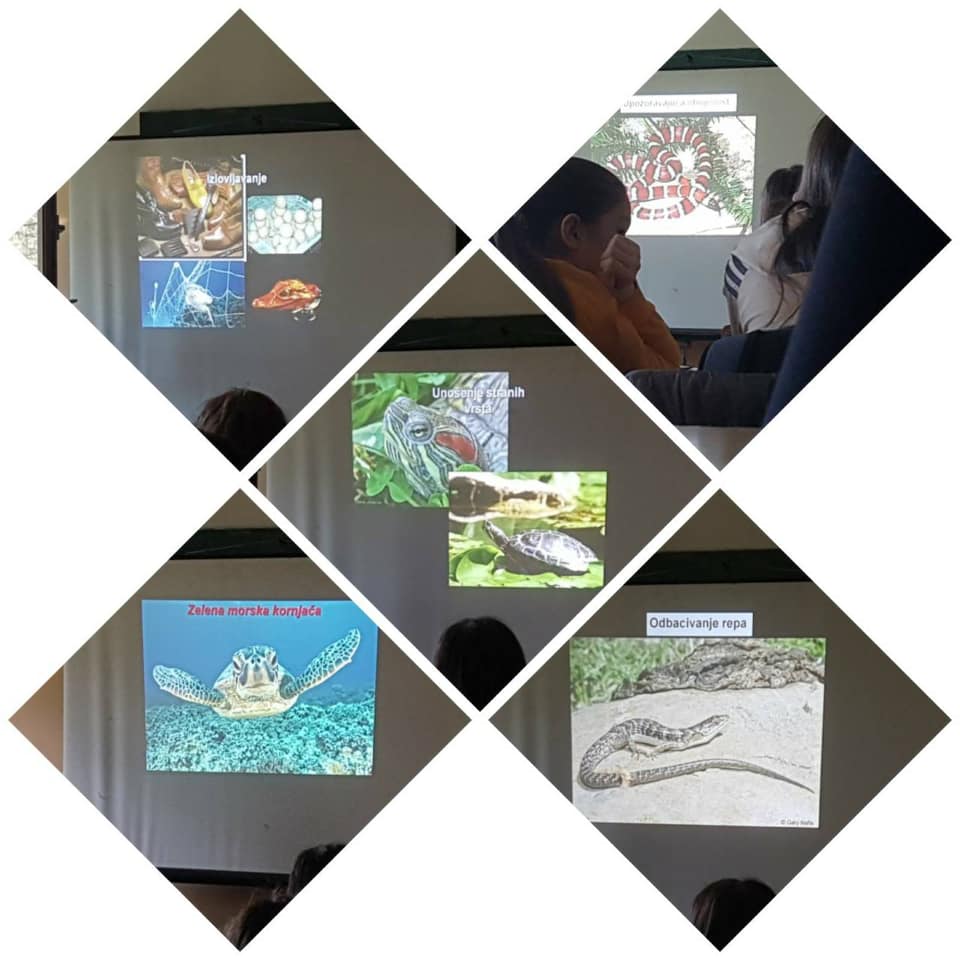 87364730 1452762004883365 4908867518740824064 n