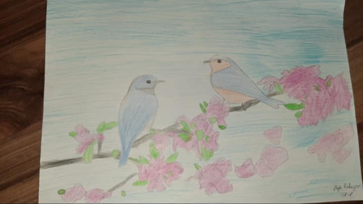 96435191 1522236871269211 282988888257986560 n