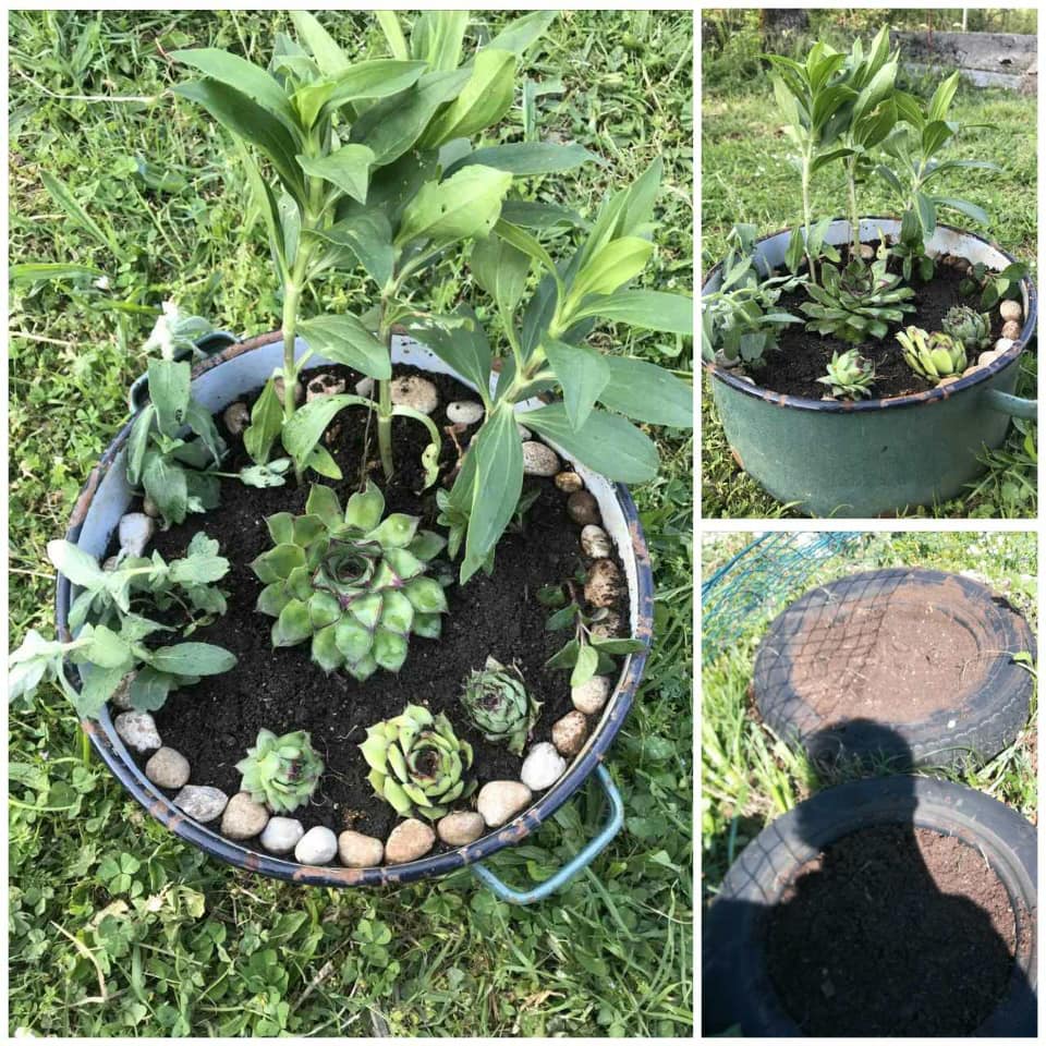 96832683 1526228880870010 1142405397441675264 n