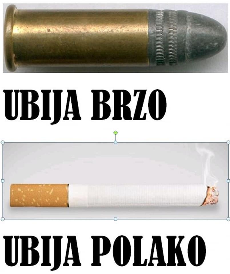 101469688 1544322009060697 8197198534731104256 n