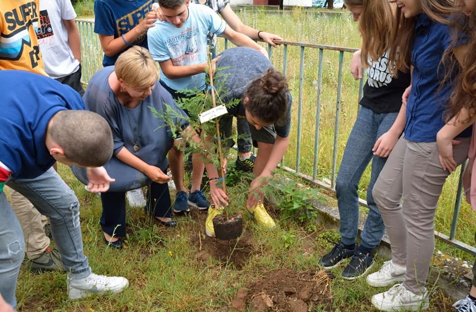 104410405 1560513520774879 3975158625866894490 n