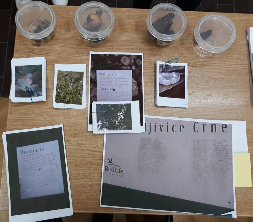 123480507 1698603706965859 4905419565704336300 n