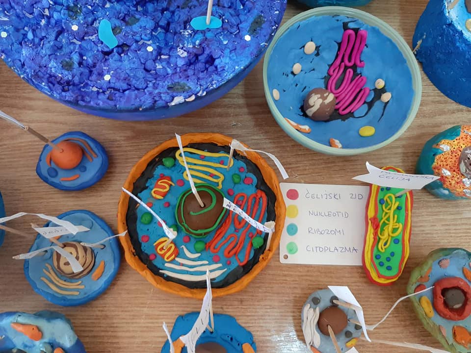 125076377 1709422709217292 21292403964367721 n