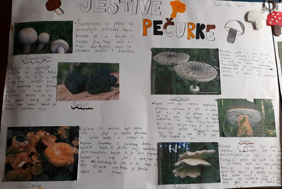 151286368 1805687476257481 3636553855560441569 n