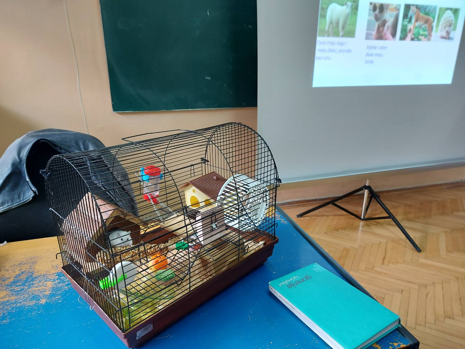 viber image 2021 04 10 21 39 10